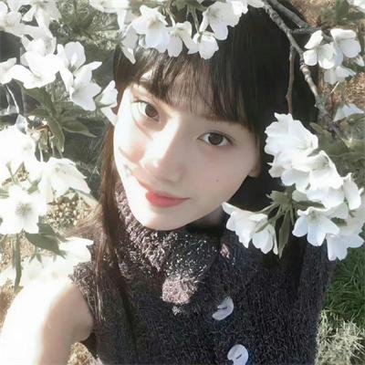 鹰之眼